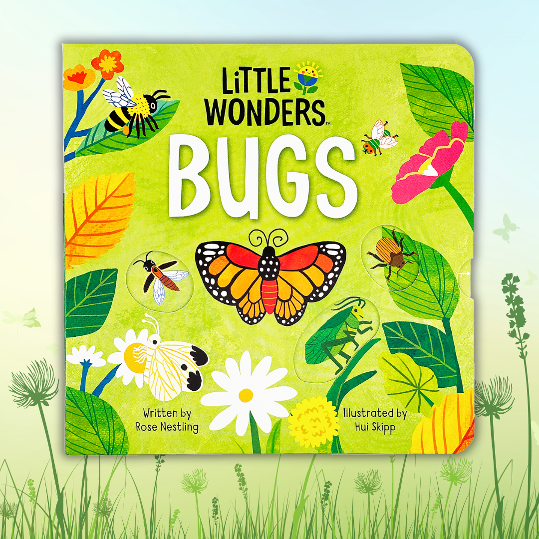 Little Wonders: Bugs Interactive Board Book
