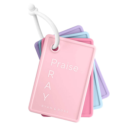 PRAY Flash Cards: Faithful Servant