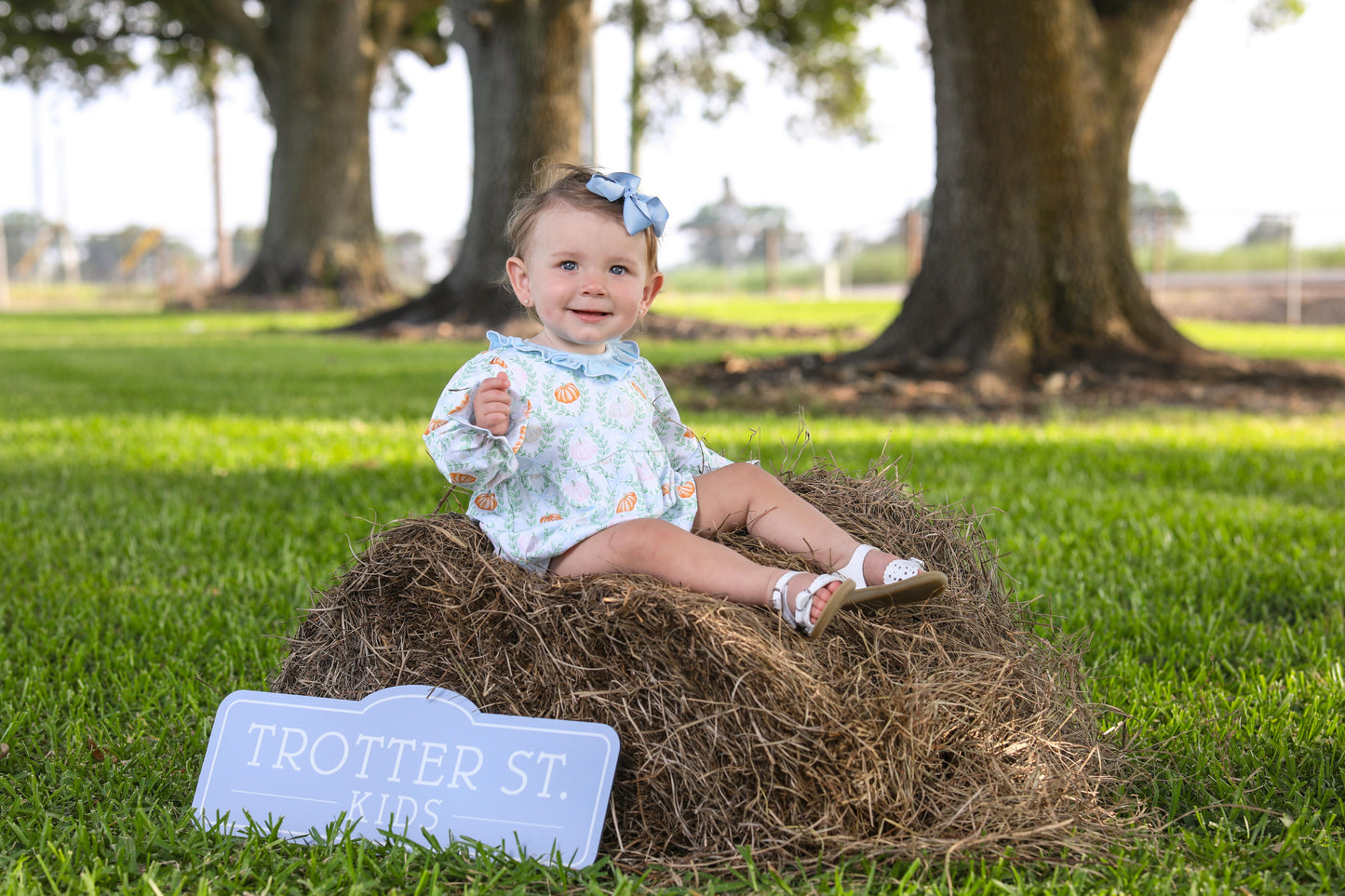 Pumpkin Patch Ruffle Bubble