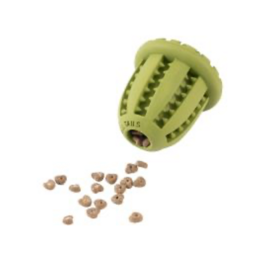 Acorn